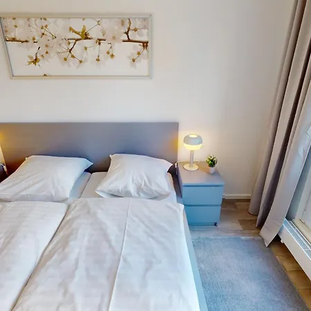 3-raum-appartement Nahe Stadtpark, Wlan * Chemnitz